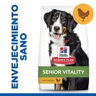 Hill's Science Plan Youthful vitality Large pienso para perros, , large image number null
